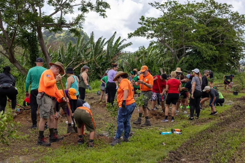 The activity was joined by groups of walkers who frequent the linear walk, as well as community organizations, several troops from the Children Listen, and private citizens from different parts of Bayamón. 
