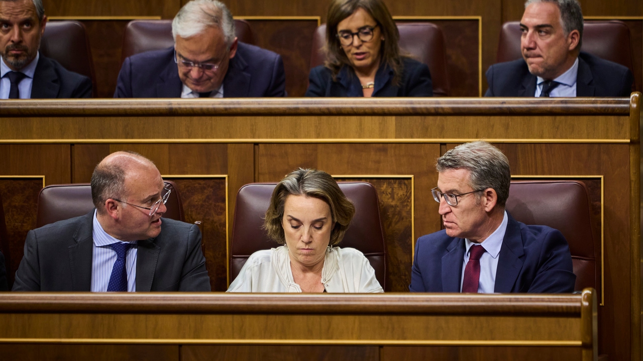 «The PSOE is good at giving in, let it do what it did with ERC and Junts»