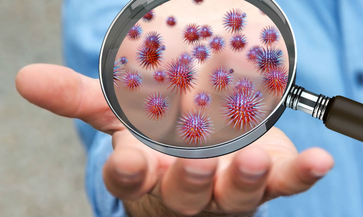 What's in food microbes? A huge genetic map deciphers it