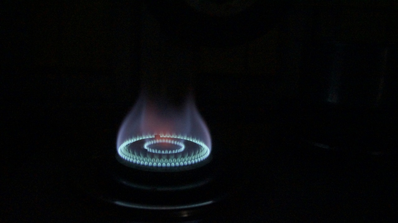 Naturgy Group closes the contract for 45 biomethane projects to inject into its gas network