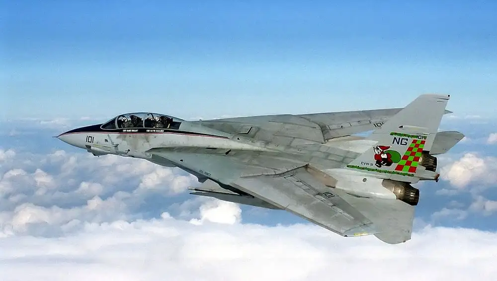 A Grumman F-14 Tomcat fighter like the one that crashed in Iran
