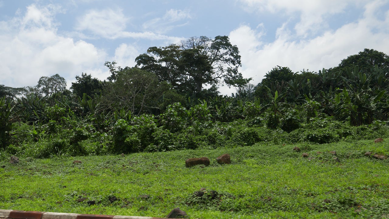A Spanish-speaking green lung in the heart of Africa
