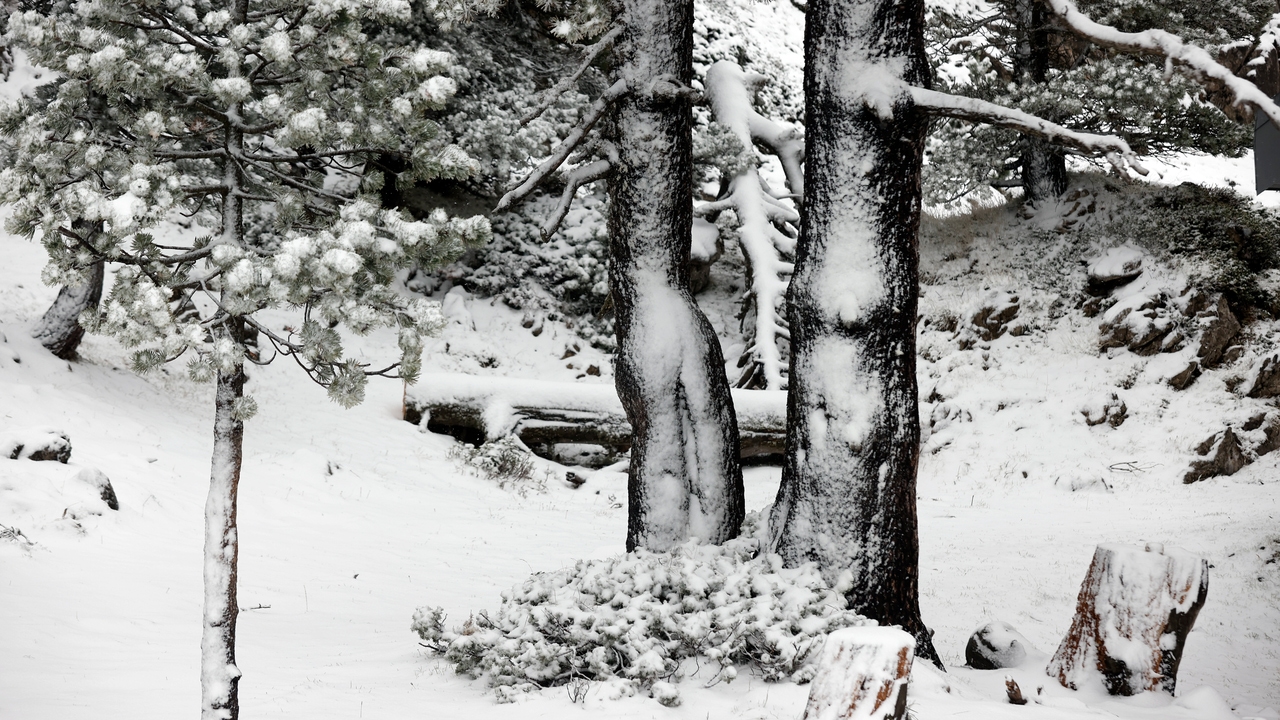 A mass of cold air will leave snowfall of up to 30 centimeters in these areas Spain