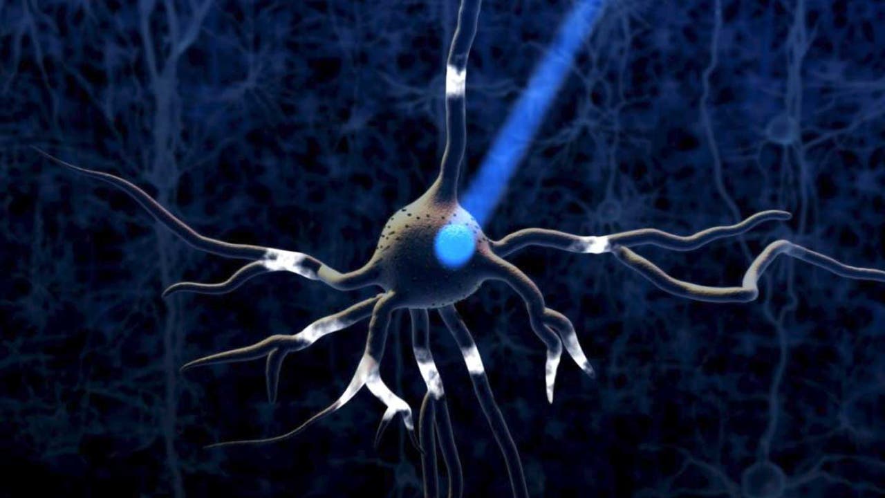 They manage to rejuvenate neurons using CRISPR