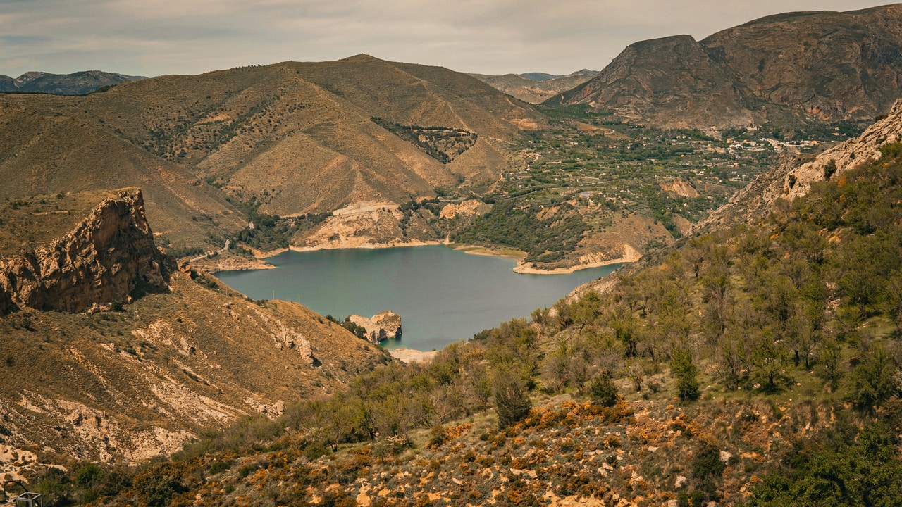 What will the future Andalusian Forest Law be like?