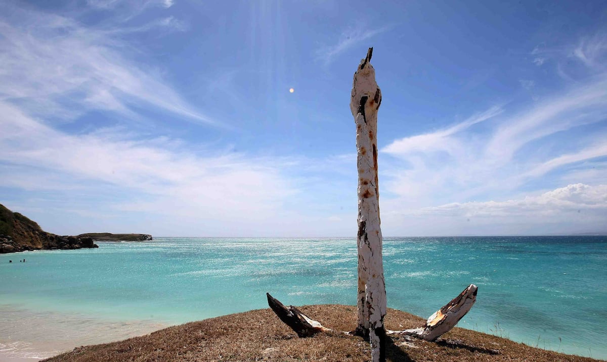 Blue Flag celebrates 20 years in Puerto Rico: they recognize environmental management on the coasts
