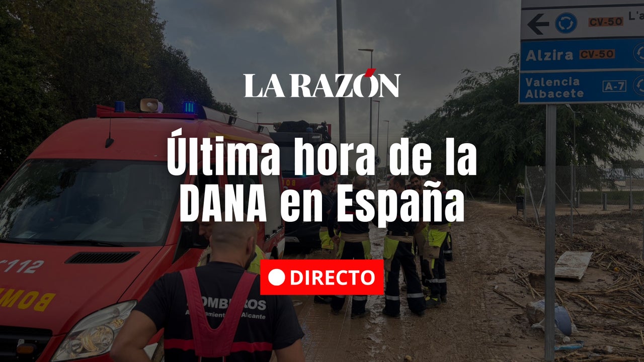 dead, missing and affected areas