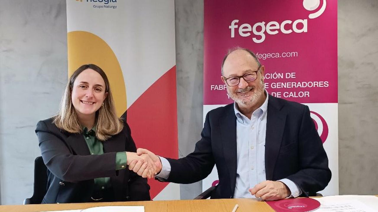 Nedgia and FEGECA promote a fair and efficient energy transition