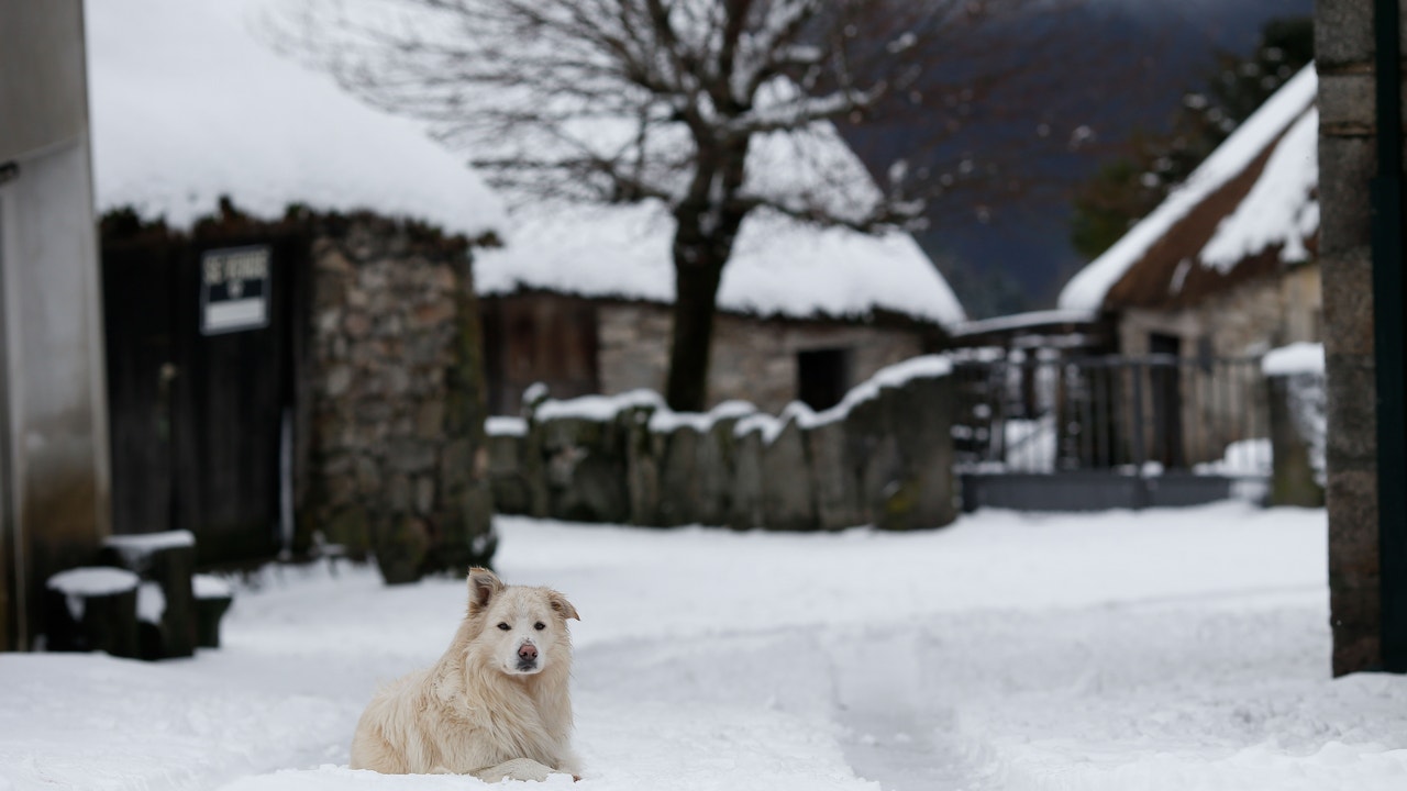 Aemet alerts by snow, rain and wind