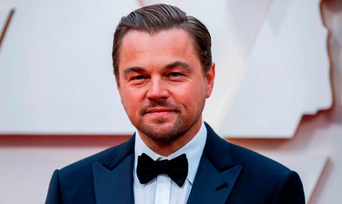 Ecuador: a new species of frog is named in honor of Leonardo DiCaprio