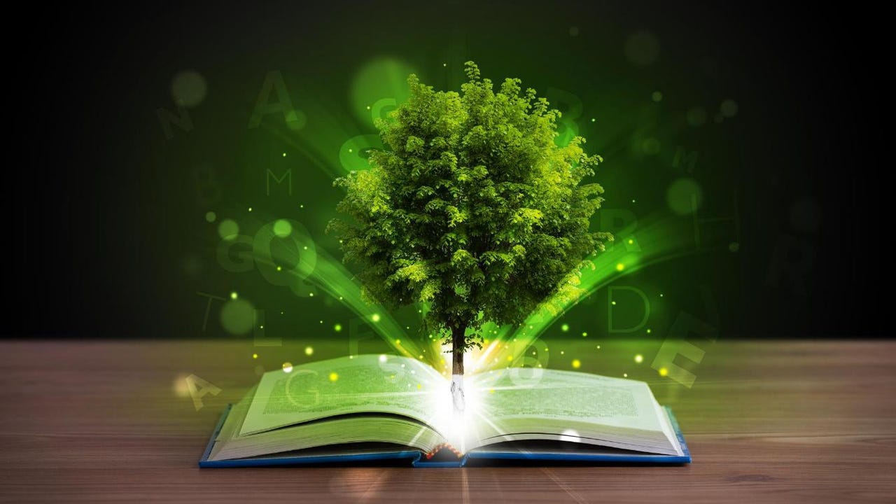 Environmental education, key to sustainability