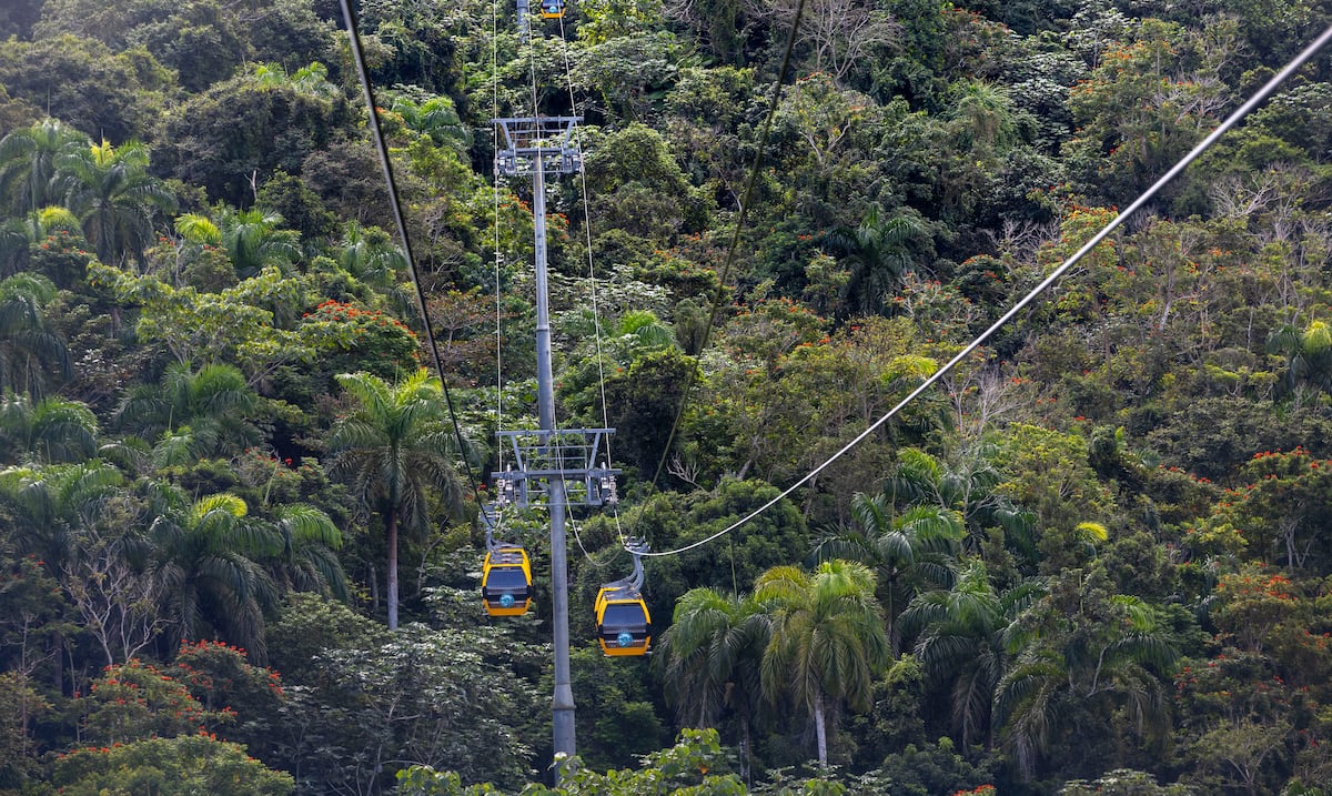 La Marquesa Forest Park reopens: discover the new attractions of this green lung of Guaynabo