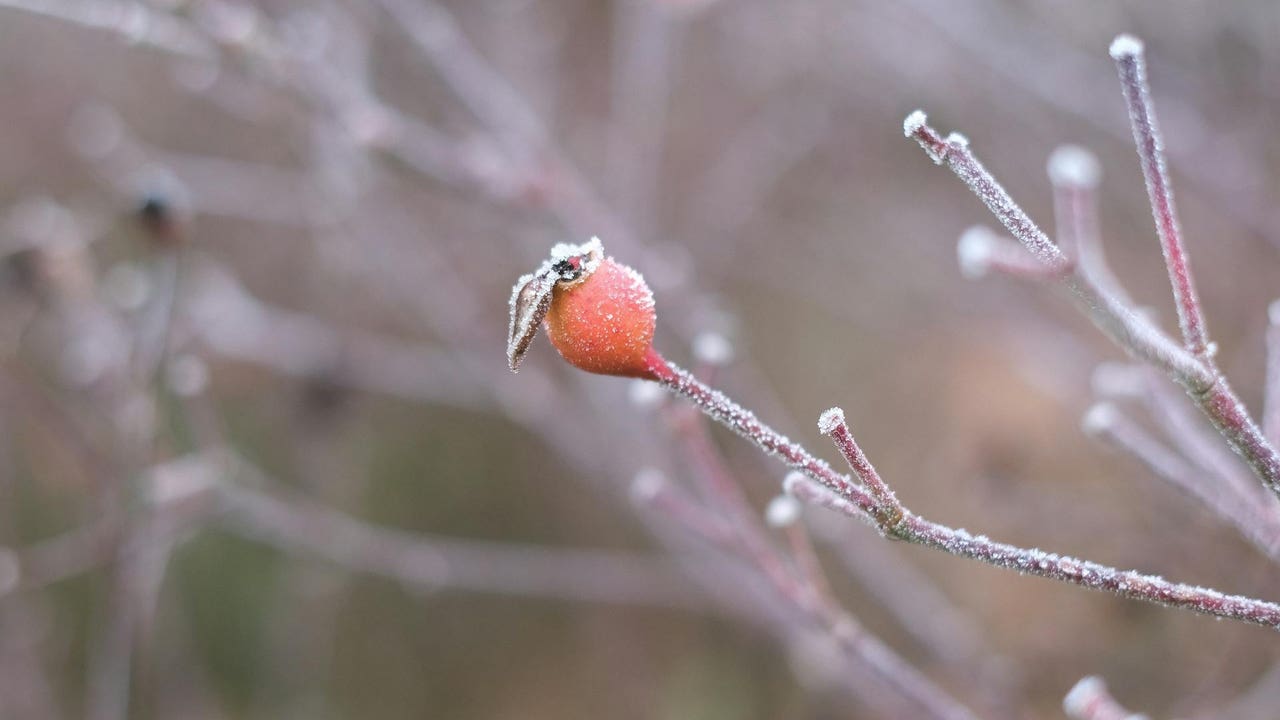 The AEMET predicts a drop in temperatures and frost in these areas of Spain