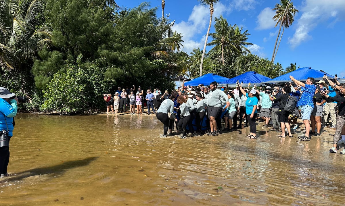 Two manatee females in Rio Grande after five years in rehabilitation release