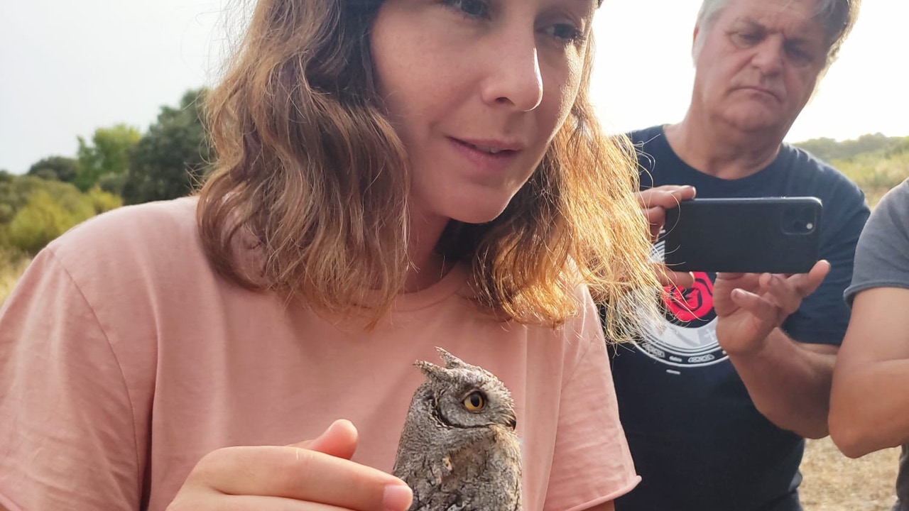 In the skin of threatened fauna