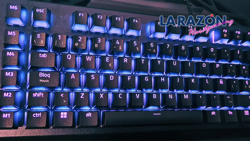 Razer Blackwidow V4 X