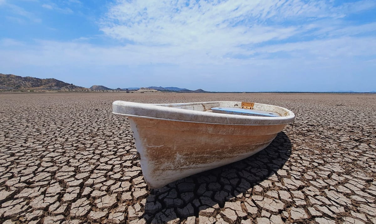Higher carbon dioxide levels in 800,000 years: the last decade was the warmest on Earth