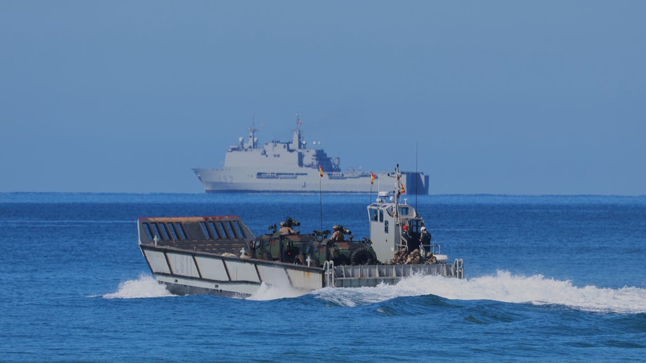 Harrier and armored amphibians in the sea of ​​Alborán