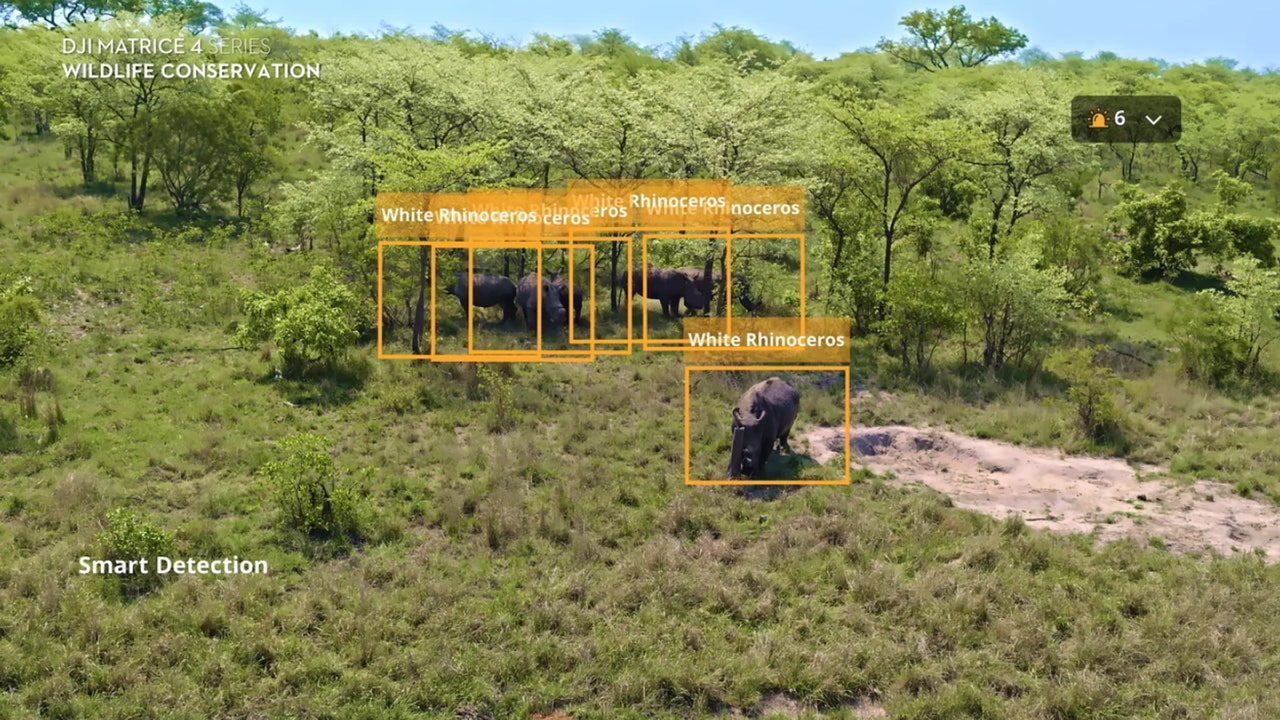 The drone that wants to save an endangered species