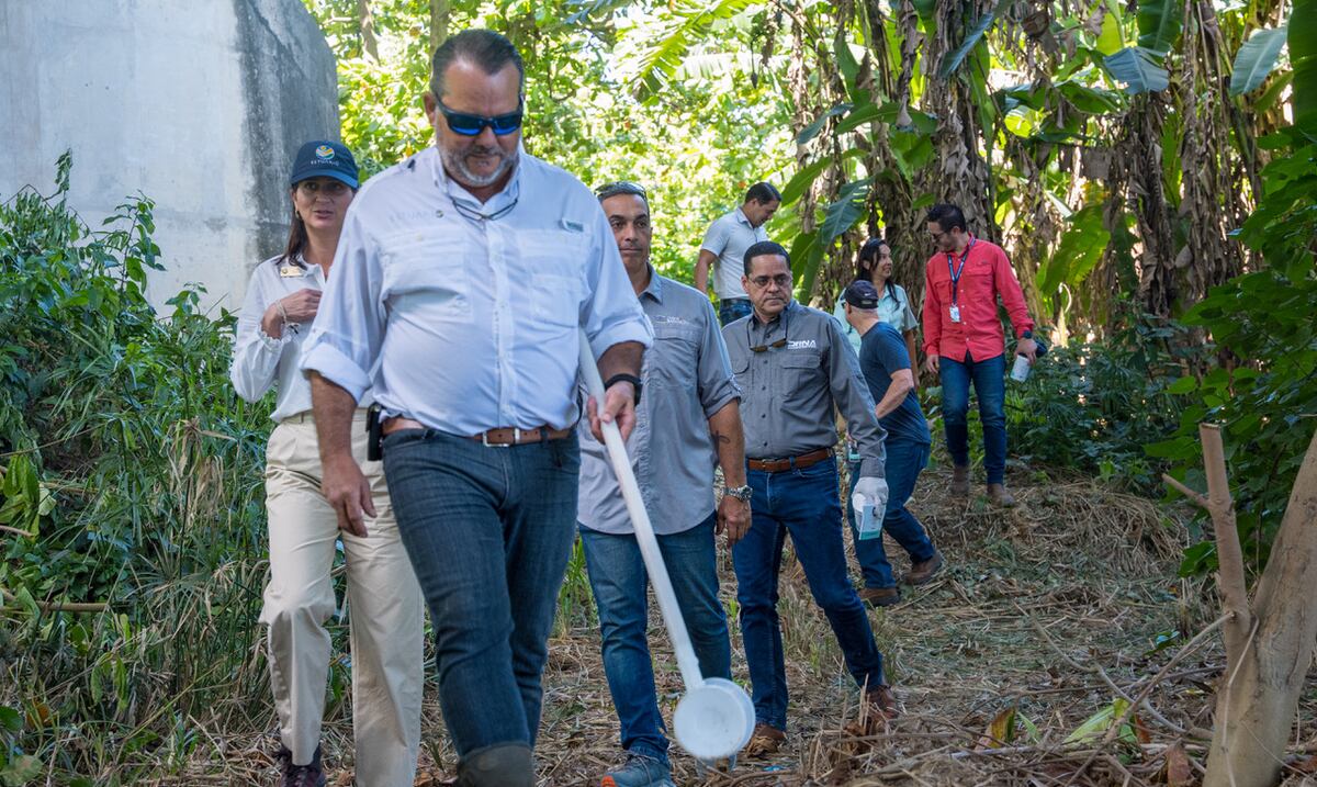 They celebrate water quality: "Every action counts to move towards a sustainable island"
