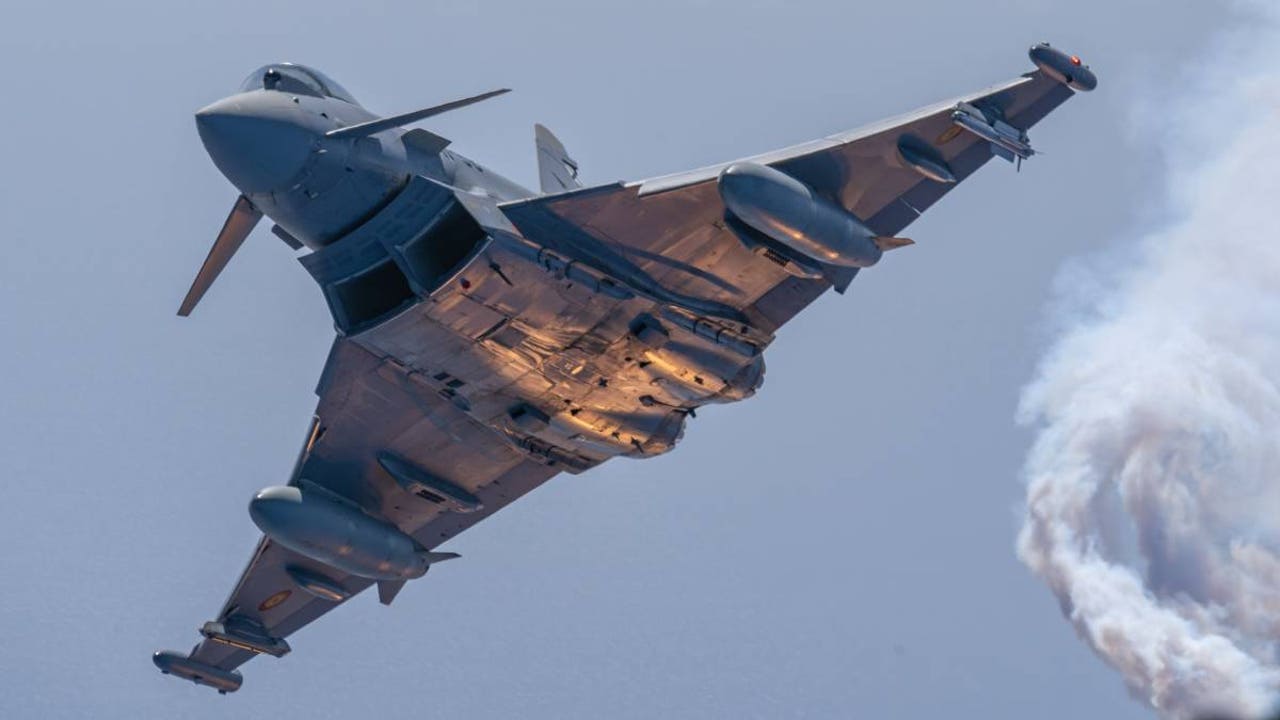 They capture the complete sequence of the clash of a seagull against the cabin of a Spanish Eurofighter