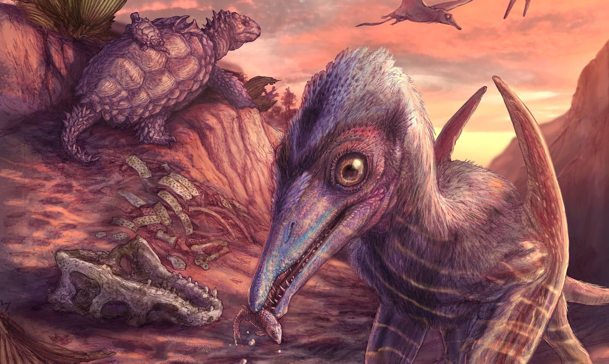 They find a pterosaur in Arizona, the oldest winged reptile in North America