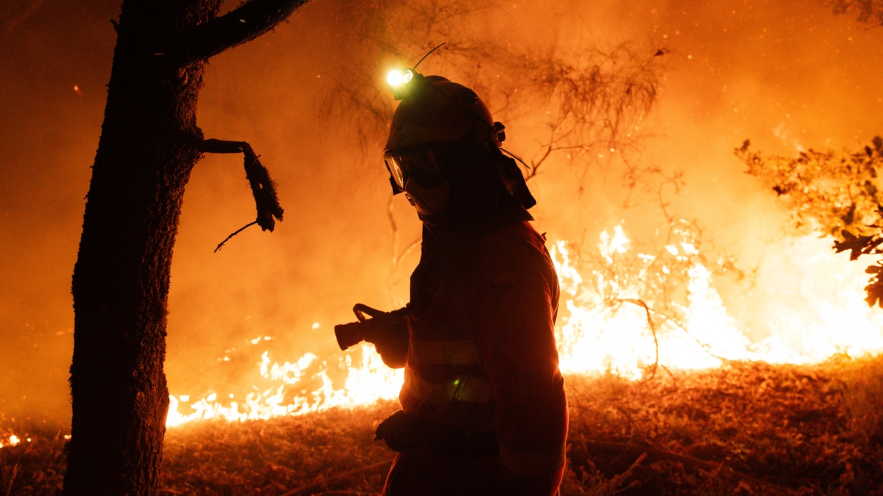 active and evacuated foci in Castilla y León, Galicia and Extremadura