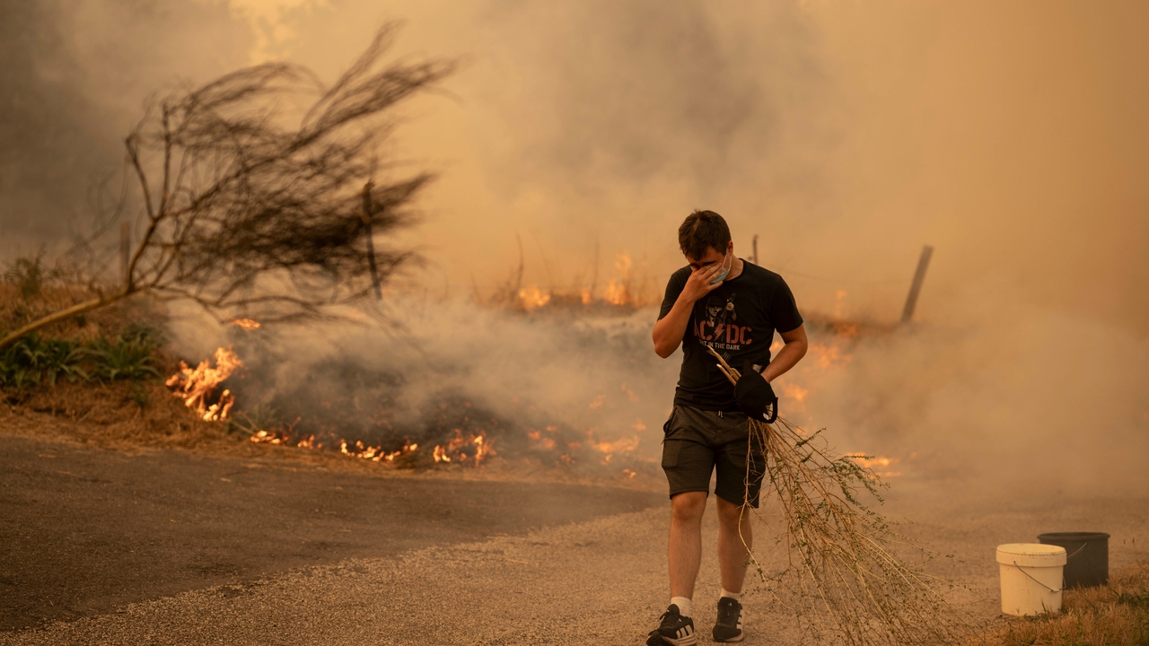 active, evacuated, wounded and hectares burned