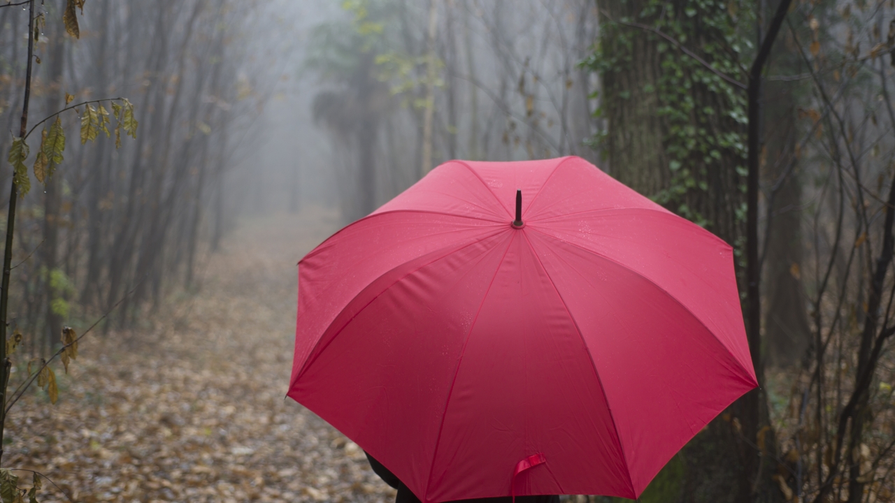 An Atlantic trough will bring generalized rains and temperature collapse from this date