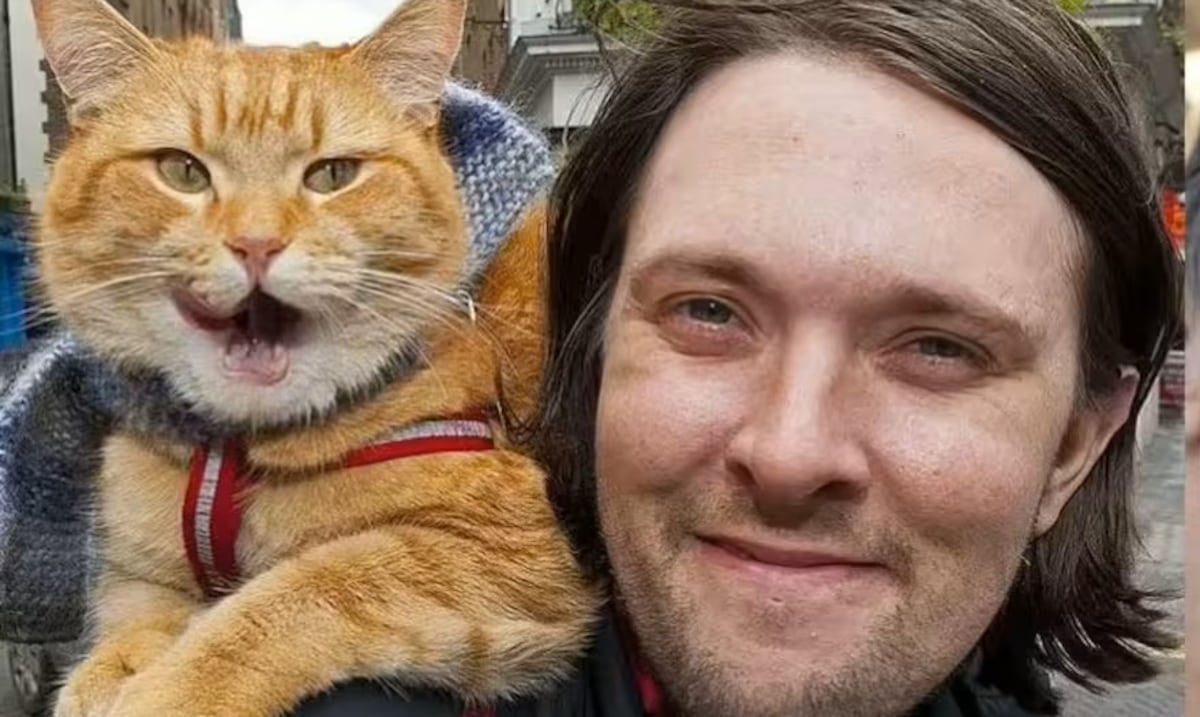 He lived on the street, adopted a cat and thanks to the animal he became a millionaire