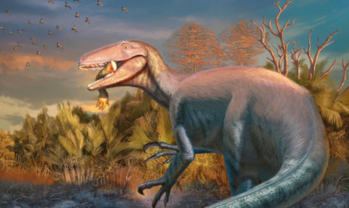 Scientists discover new dinosaur in Argentina: he had a crocodile bone in his mouth