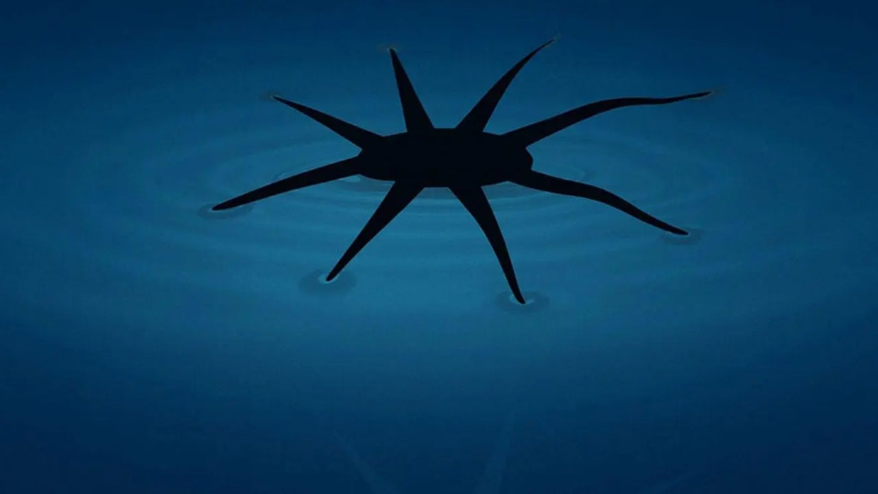 They design a robot that walks on water
