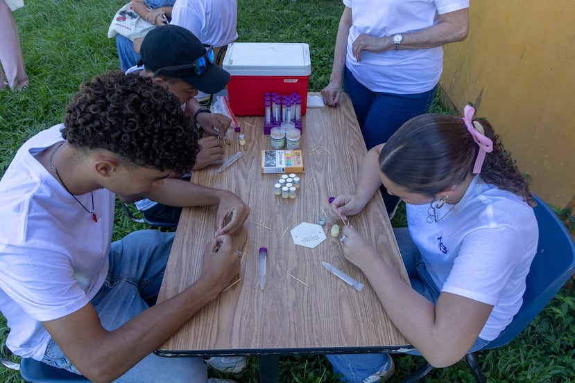 Students from five middle and high schools participate in the initiative.