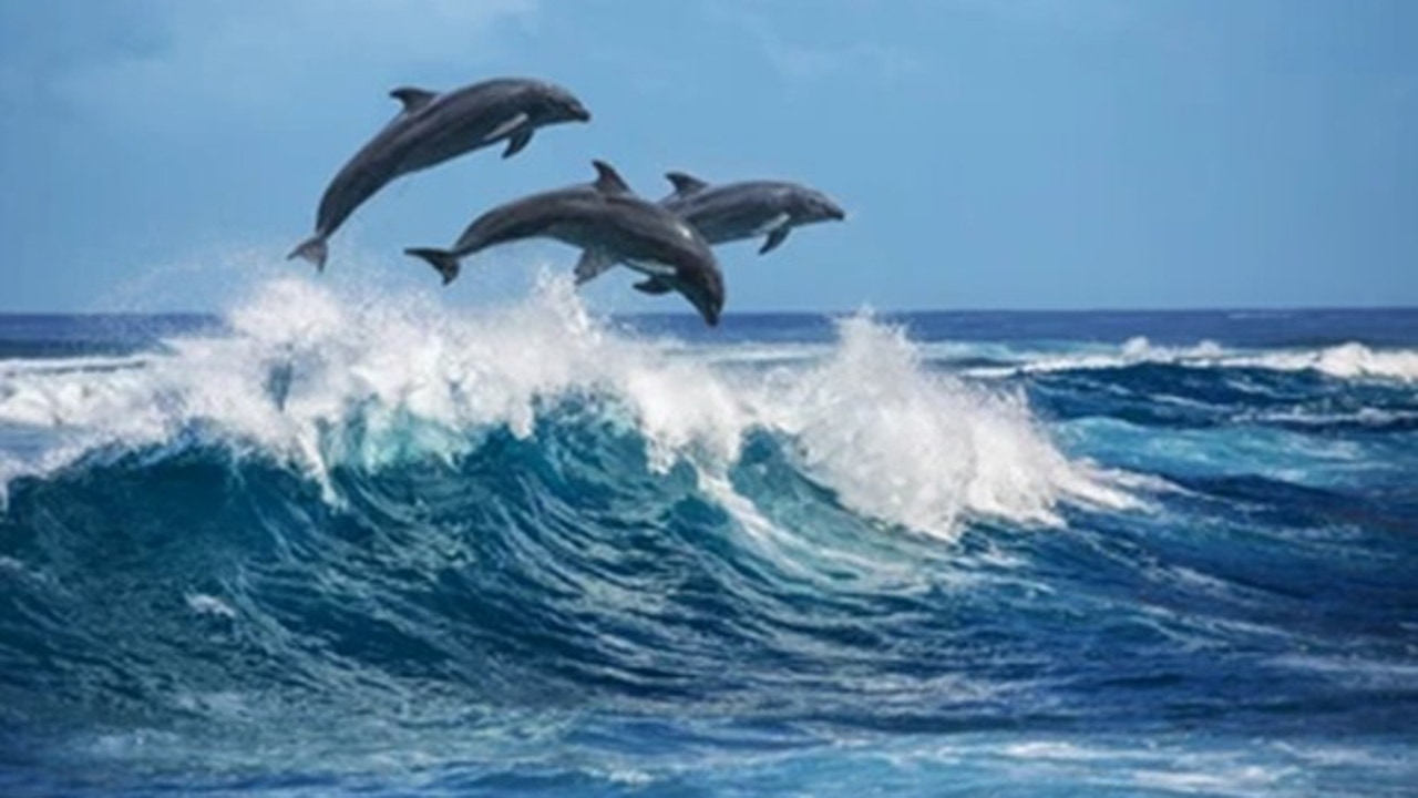 A historic treaty for ocean protection