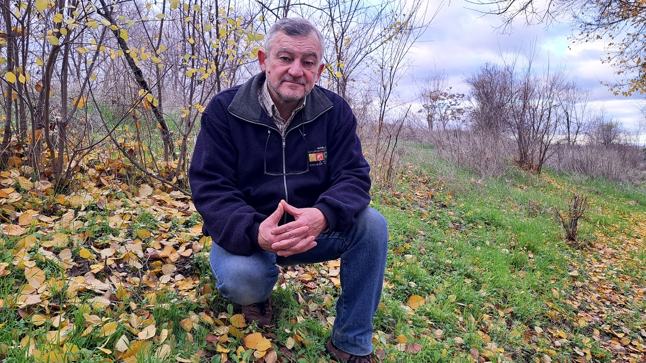 «All agricultural production should be organic»