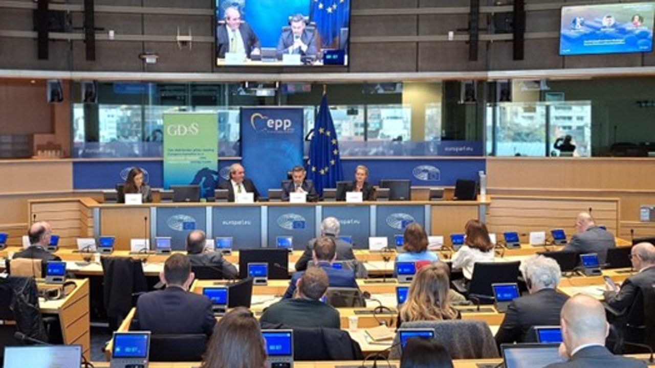 Europe sees green gas as an opportunity