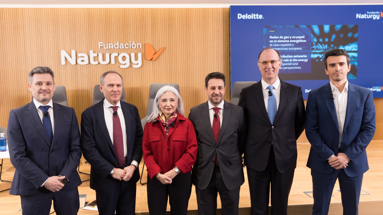 Gas networks, strategic infrastructure in the energy transition