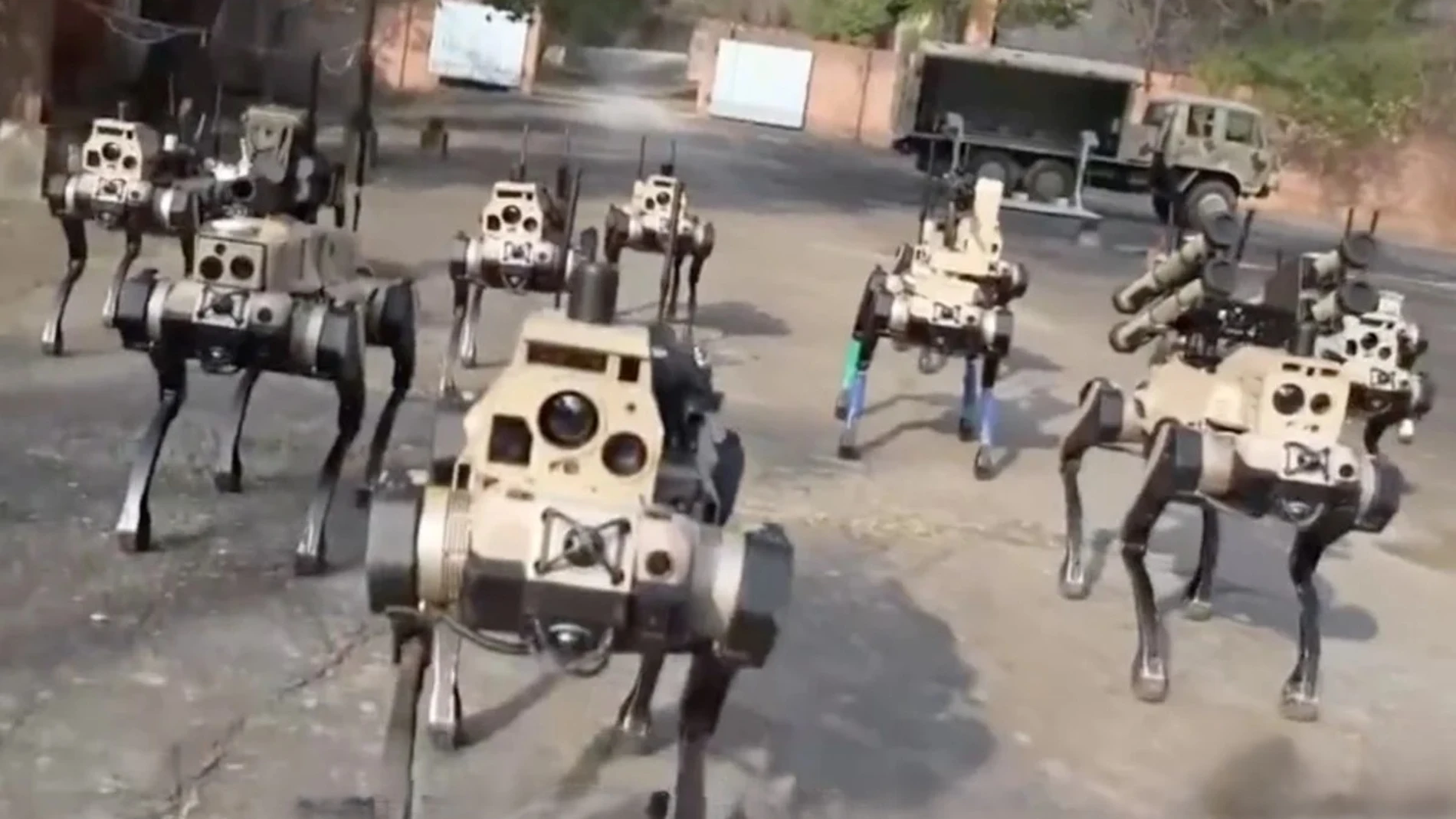 China shows packs of armed robot dogs that operate in a coordinated manner