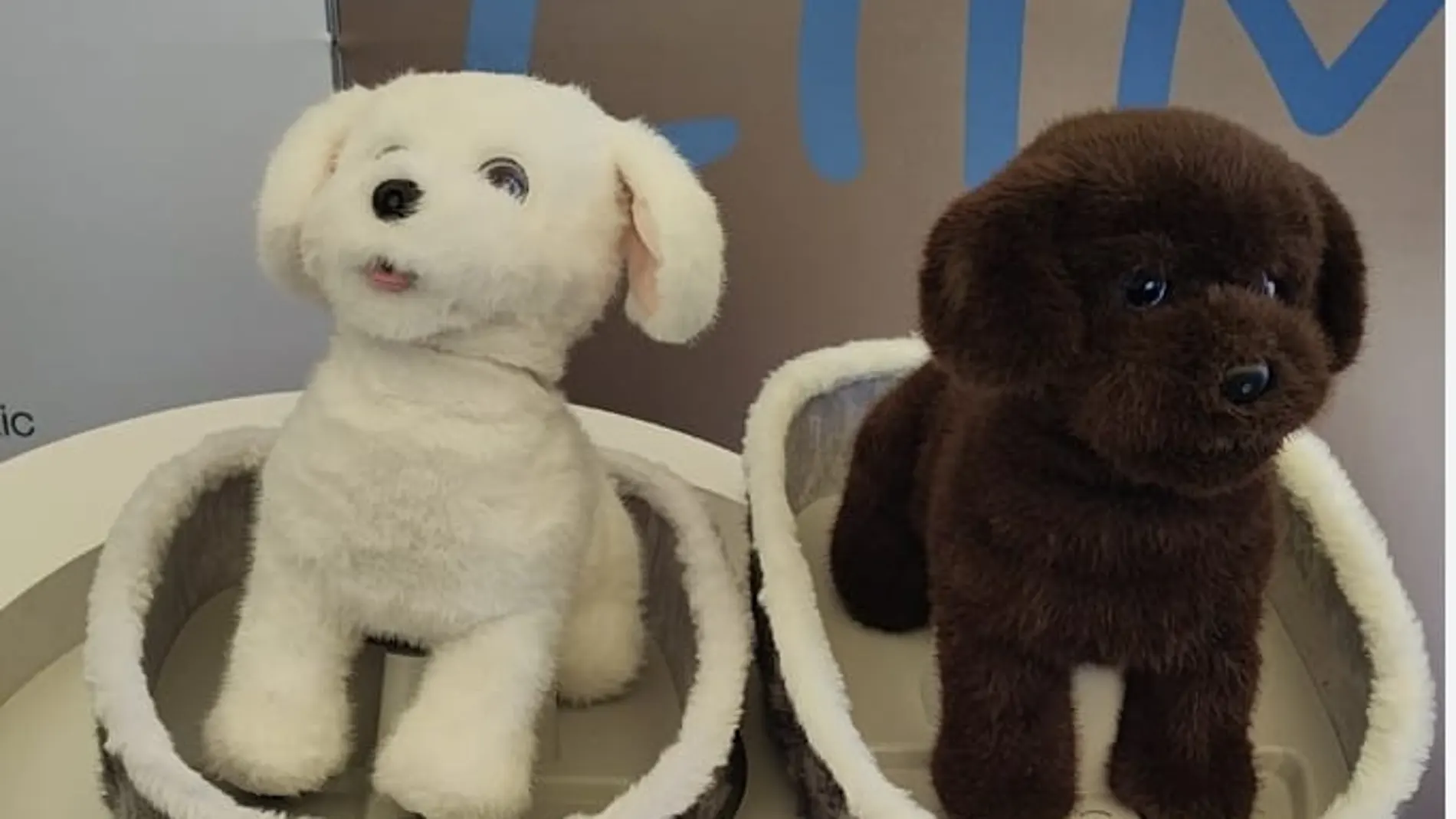 Lilmilo the robot that anticipates one of the futures of mental health
