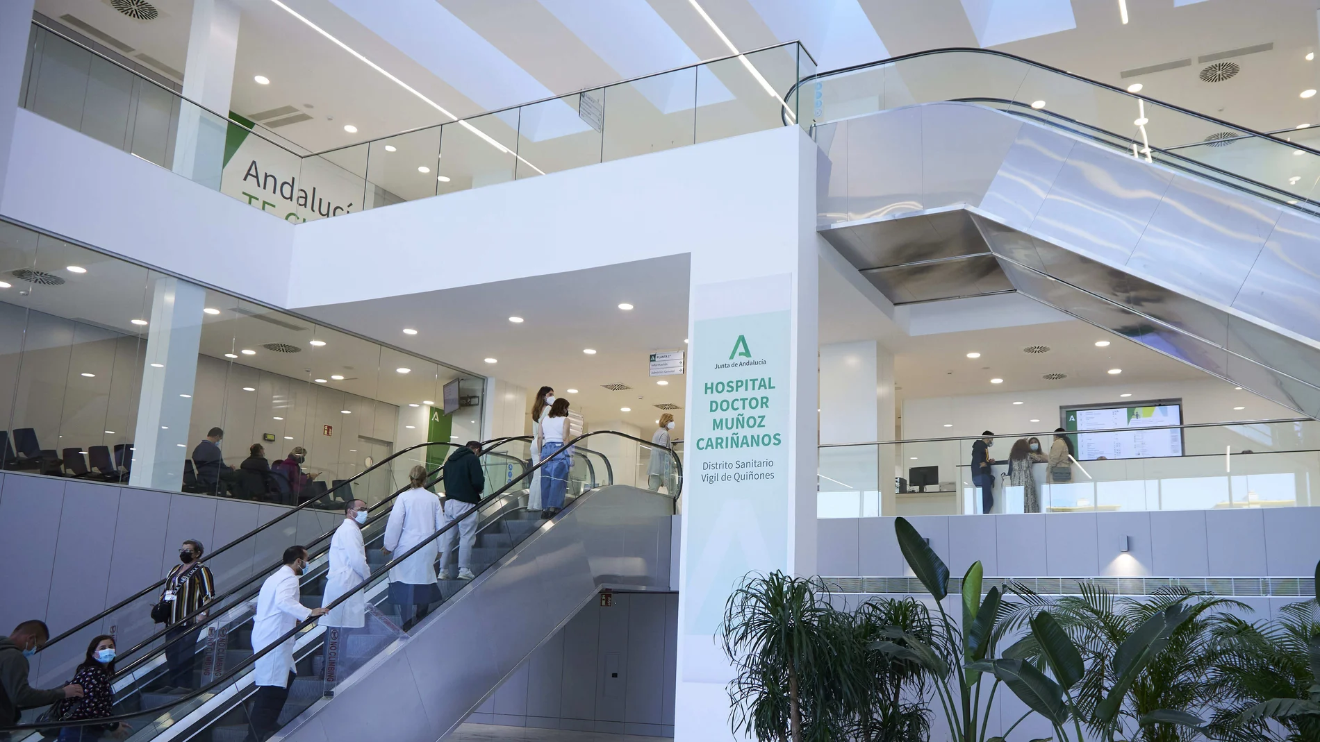 Montero punctures with the health co-payment in Andalusia