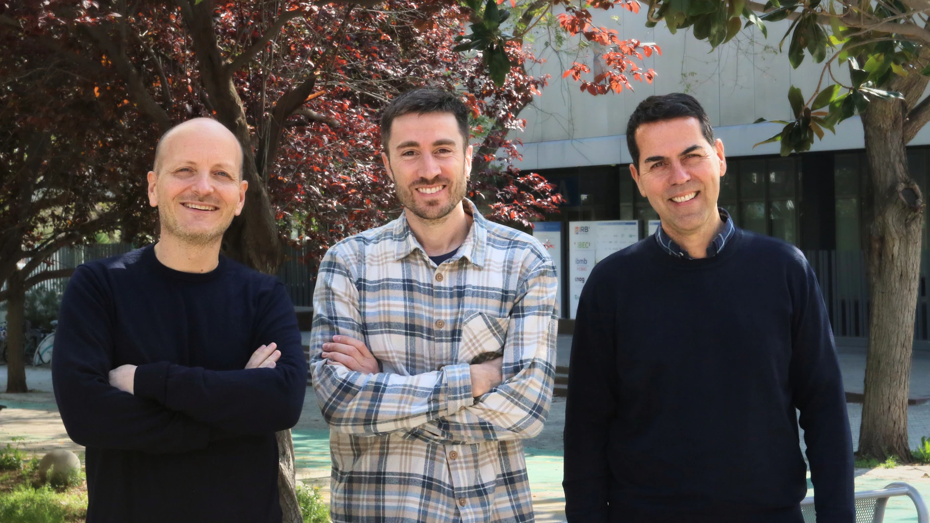 Spanish scientists create a living tissue capable of changing shape