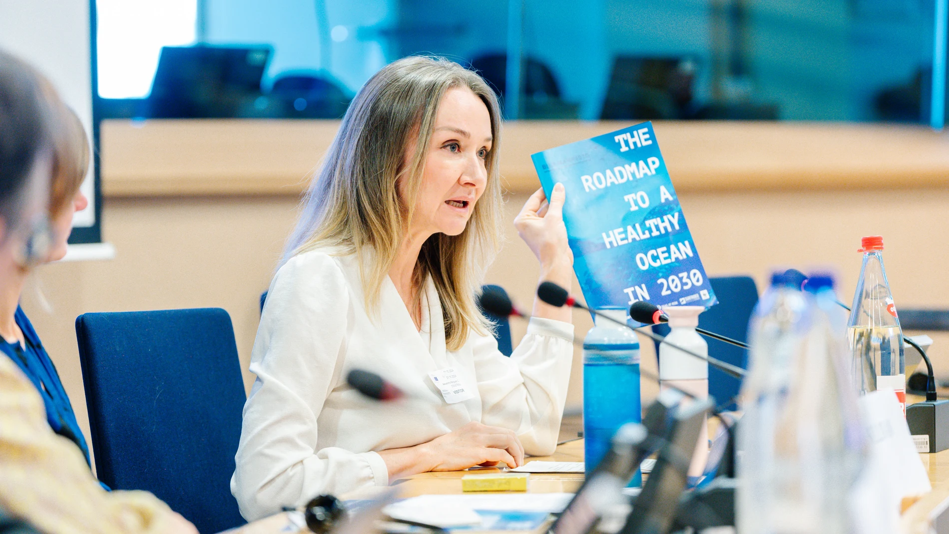 «The biggest challenge for the sea is political will»