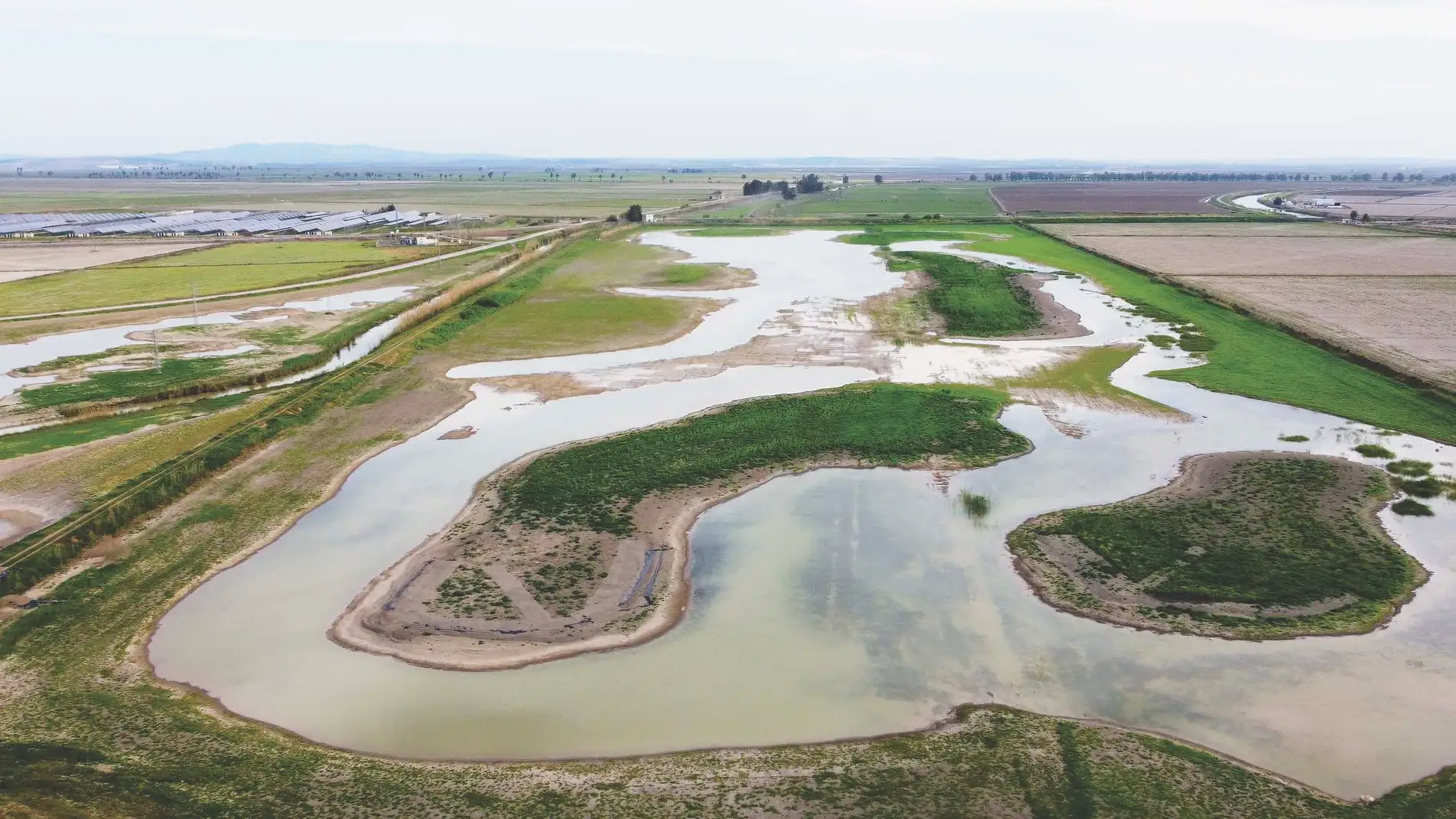 The wetland that was reborn among rice fields thanks to an "Allen key"