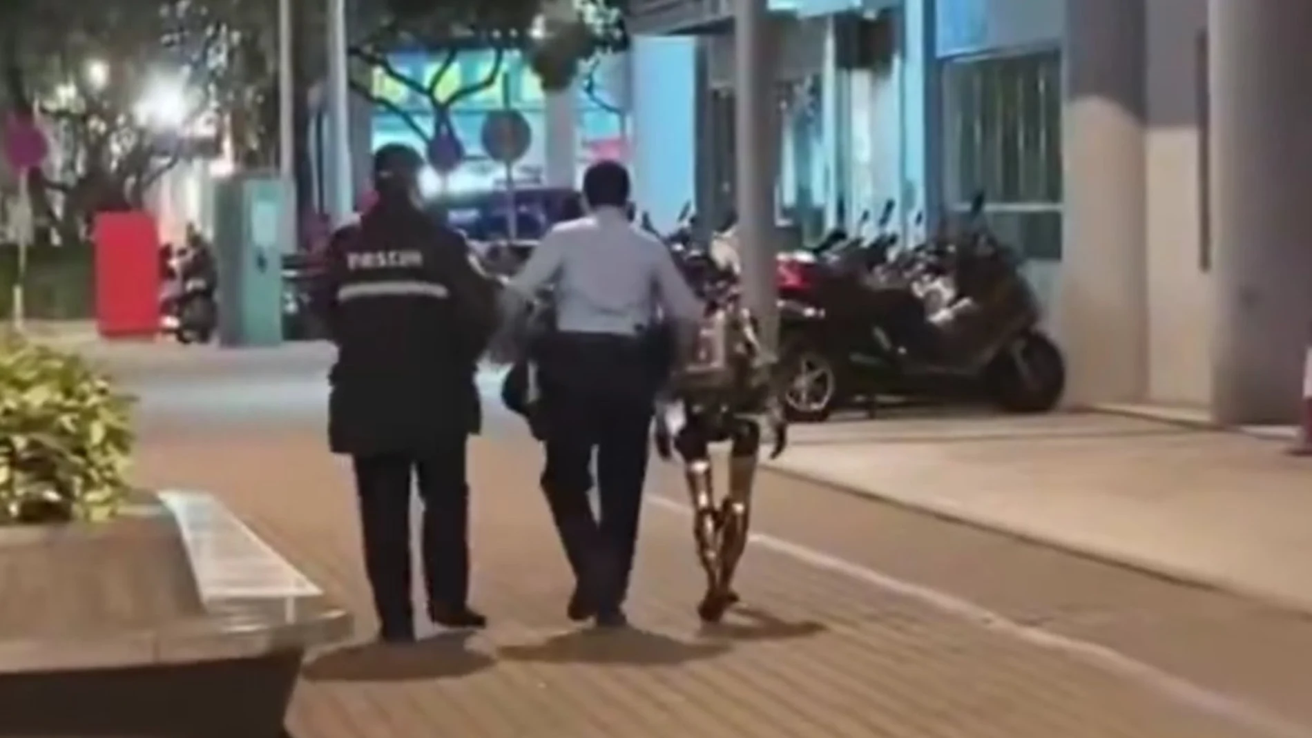 This is Edward, the robot that talks to old people, chases wild boars, wears a Rolex and that you can hire for a party