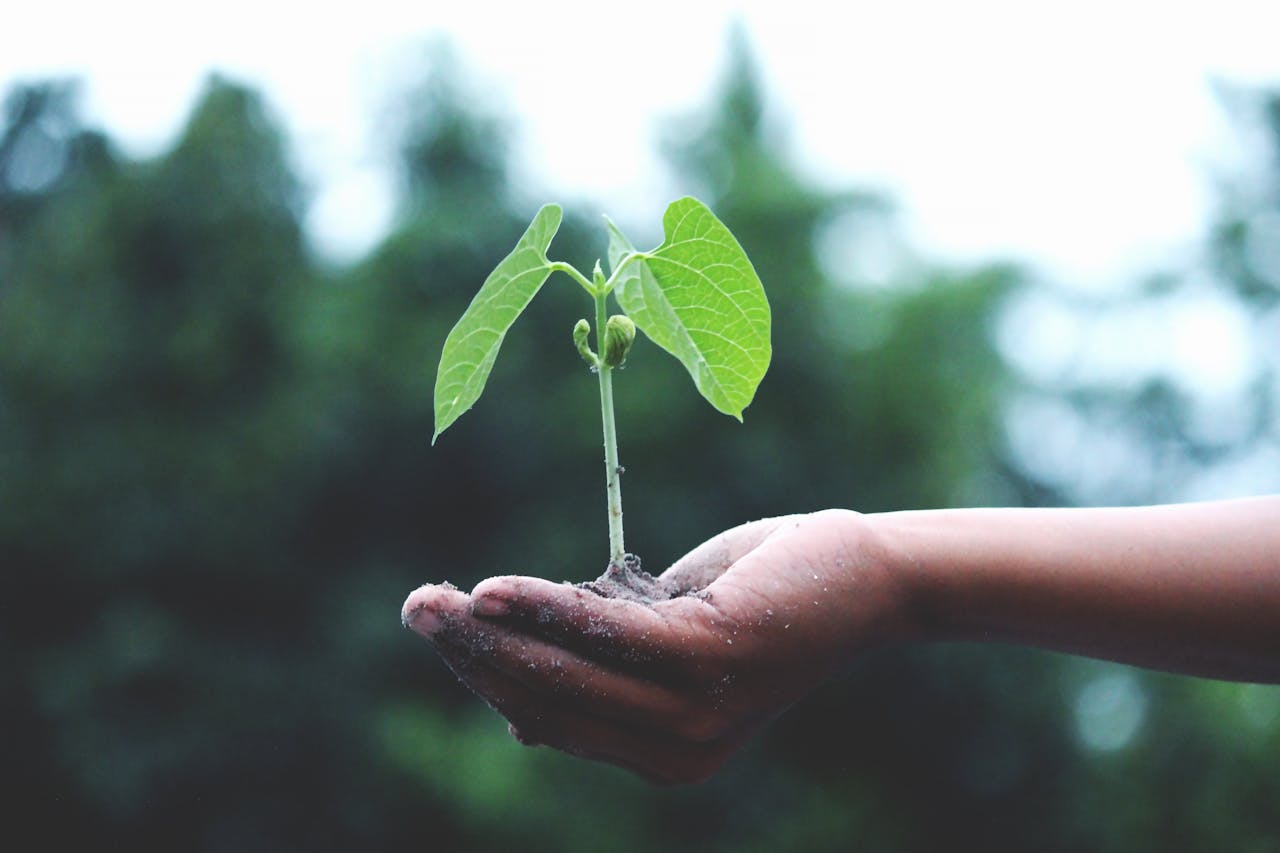 Veolia | World Earth Day 2026