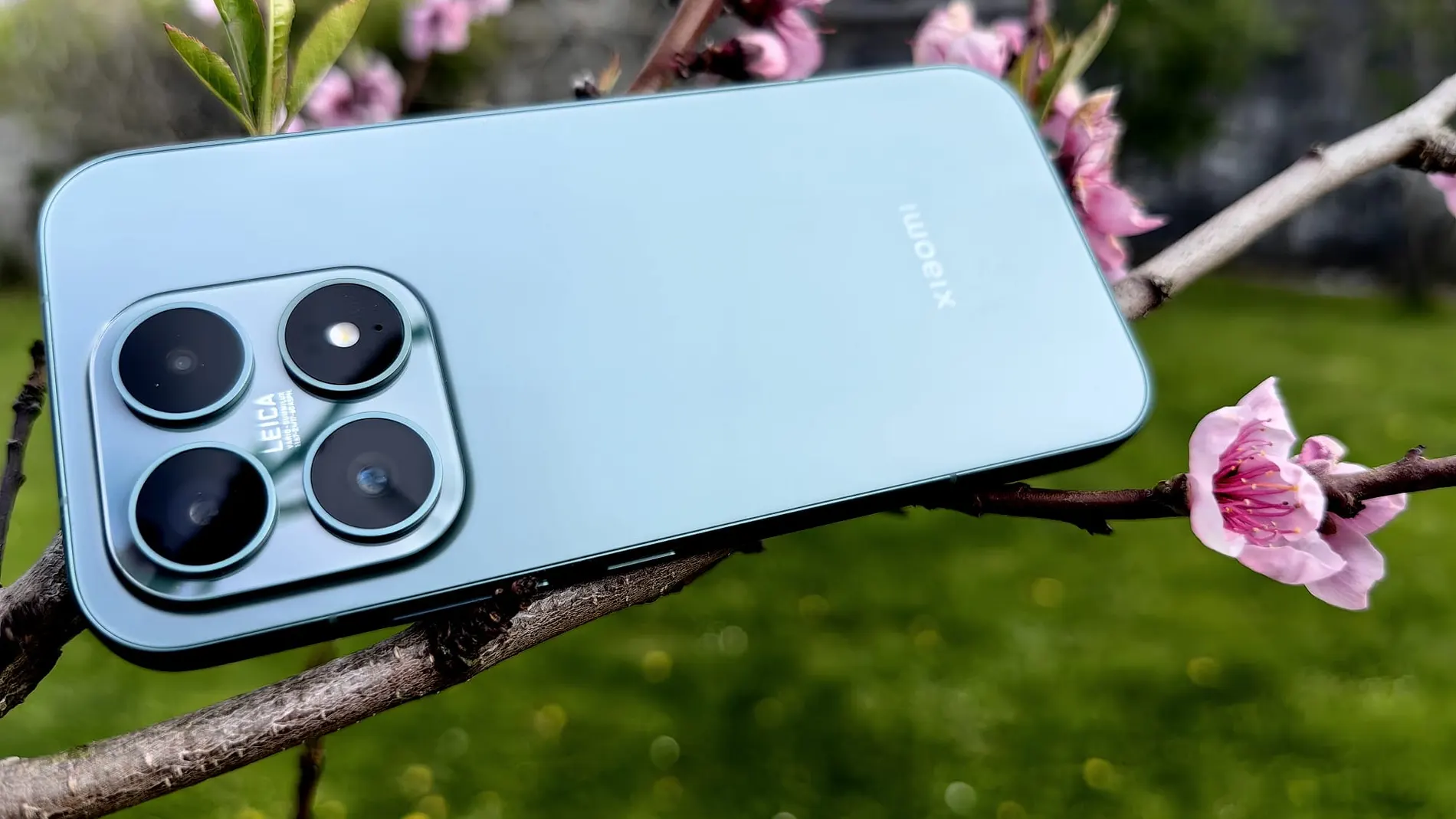 Xiaomi 17, to throw flowers at it