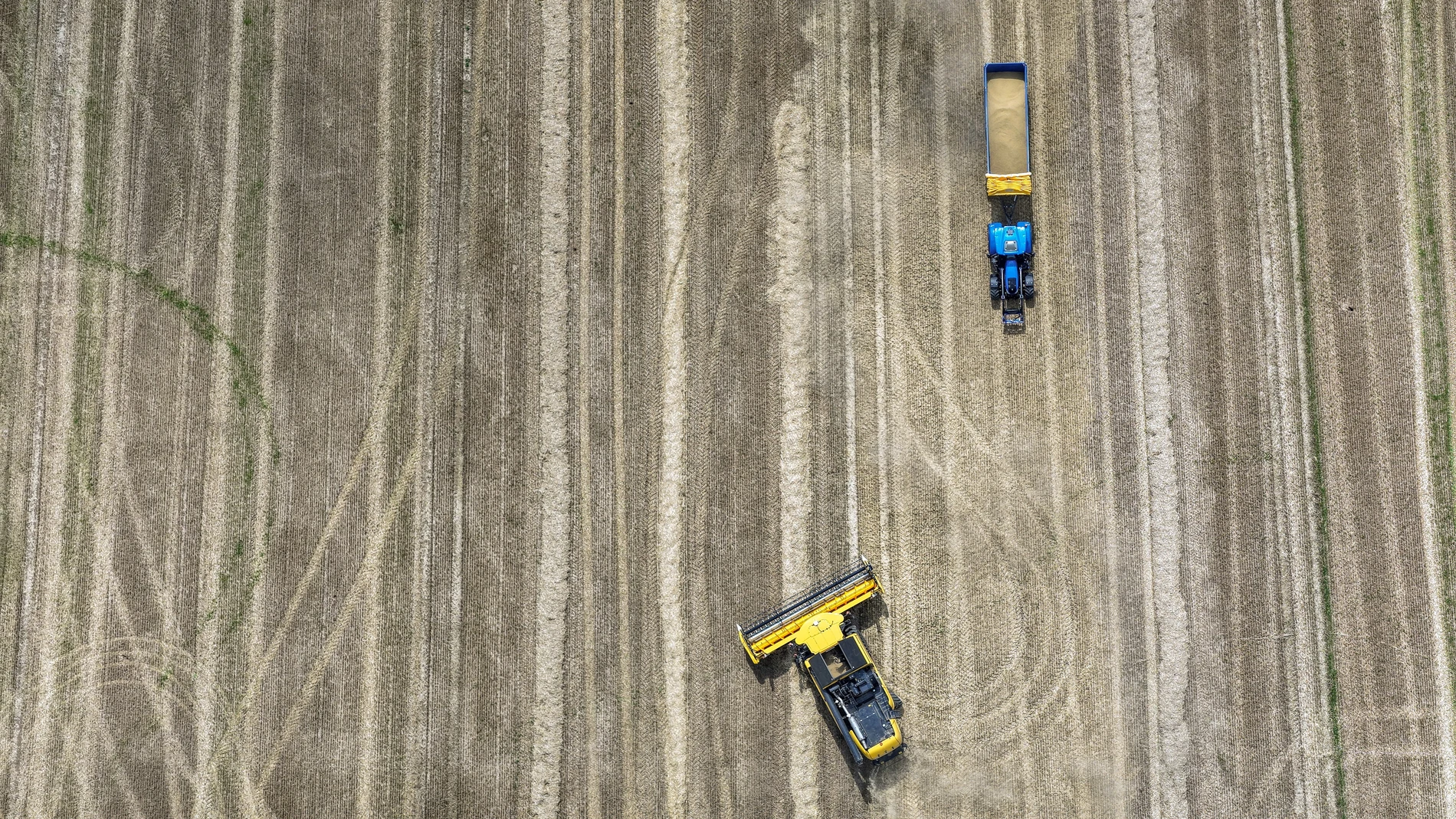 40 years of Common Agricultural Policy