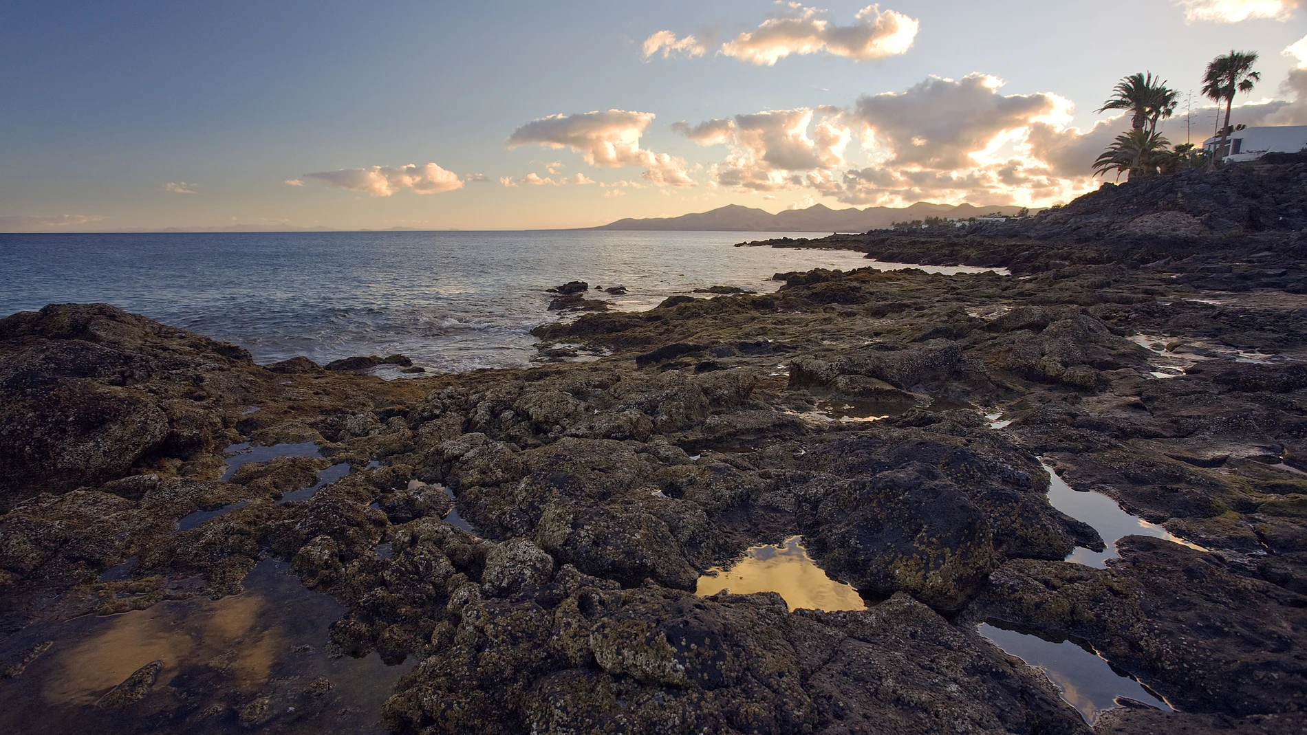 The Canary Islands lose four kilometers of natural coastline each year