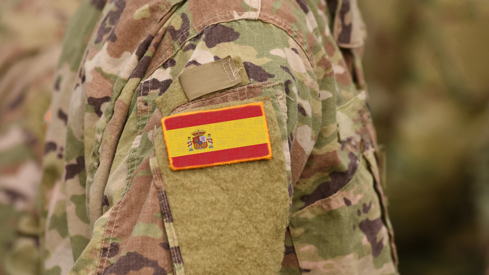 The Government specifies the requirements to request a reservist position for the new military service for young people