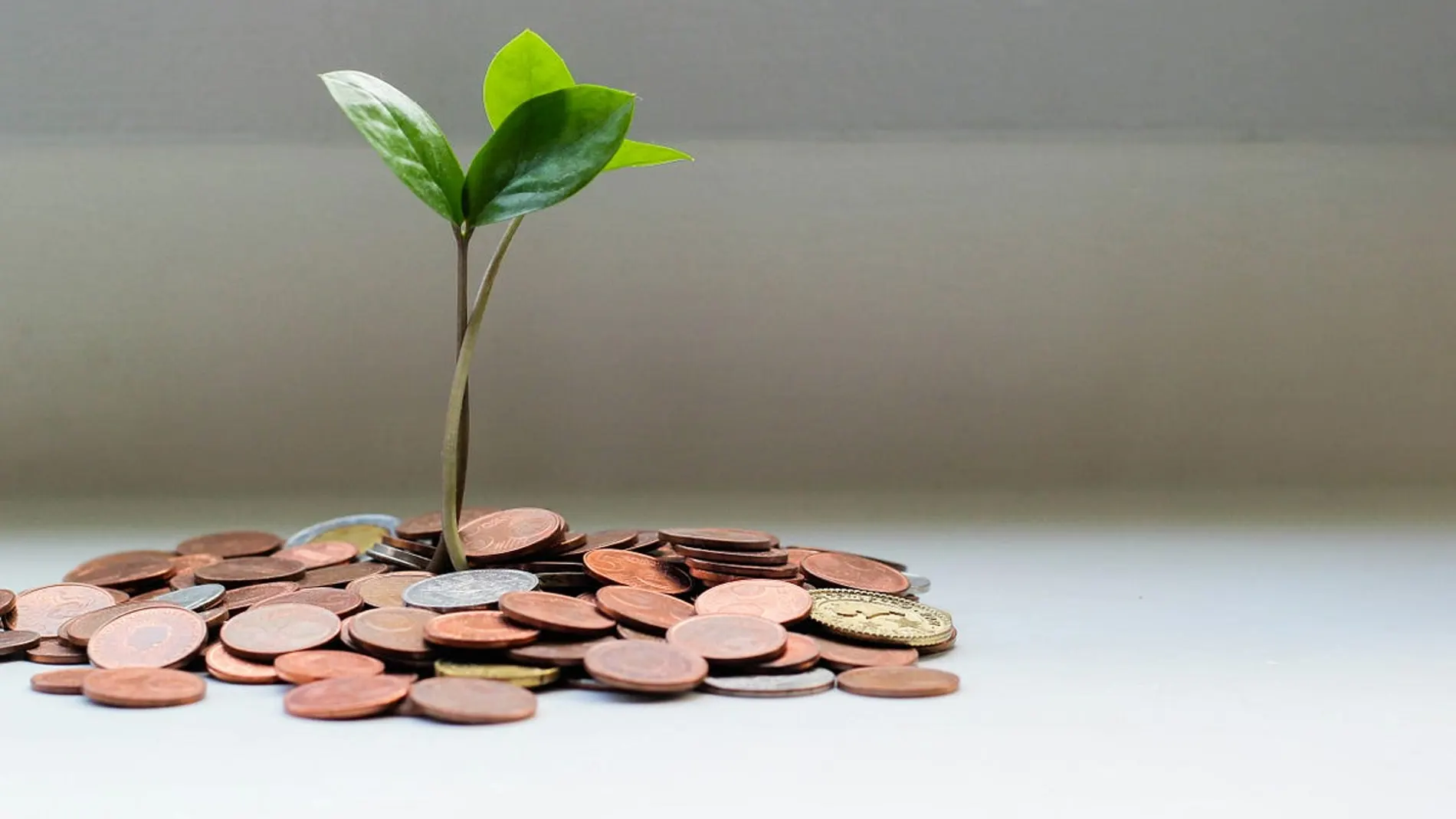 This is the only account that offers 750 euros for direct deposit of the payroll